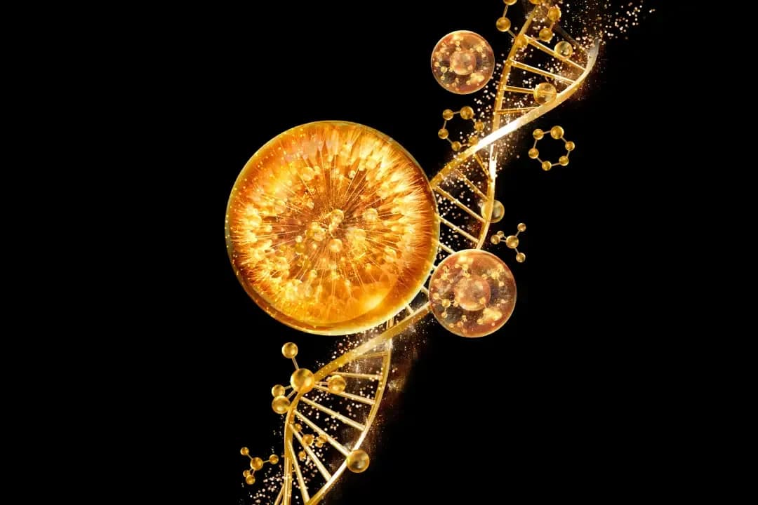 Biomimetic Peptides The Signal
